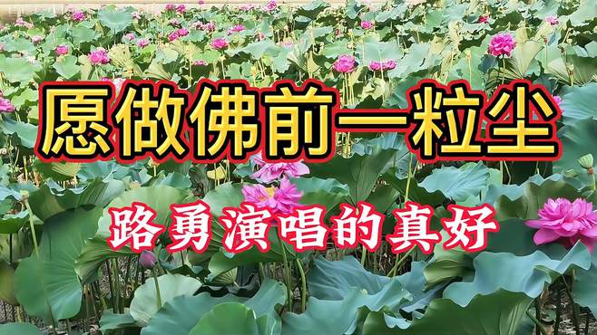 给朋友推荐一首路勇演唱的歌曲《愿做佛前一粒尘》