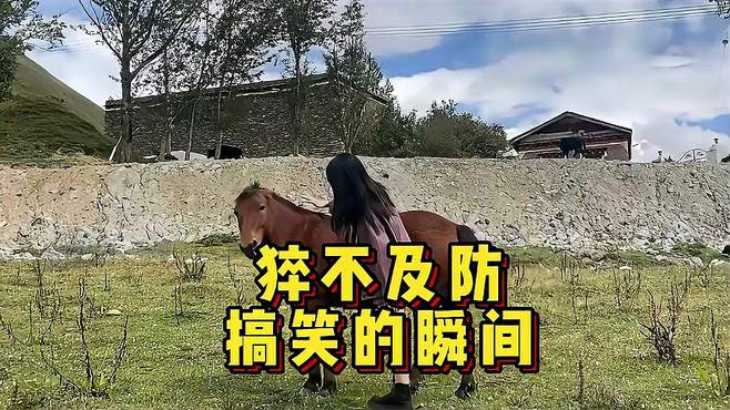 盘点那些猝不及防的搞笑名场面，真是一个比一个有趣