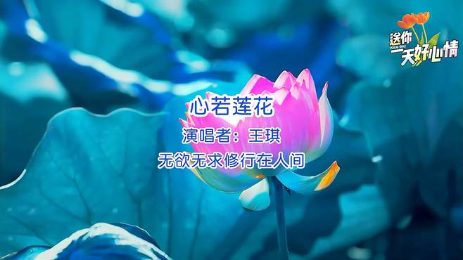 《心若莲花》王琪的一首非常好听的歌曲分享