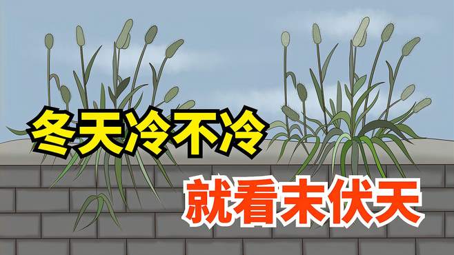 “冬天冷不冷，就看末伏天”今年“庚戌”末伏头，冬天雨雪多吗？