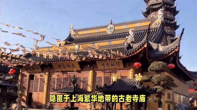 隐匿于上海繁华地带的古老寺庙，免门票且无商业化氛围