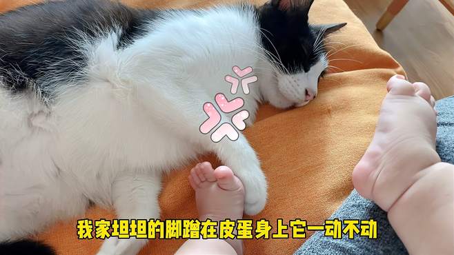 猫咪对人类幼崽和成年人真的有两副面孔！