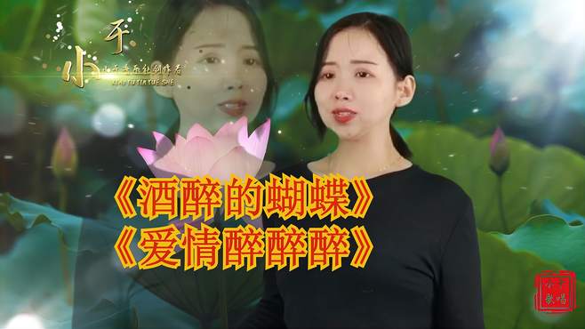 好听又醉人民谣《酒醉的蝴蝶》《爱情醉醉醉》个性唯美，元气满满