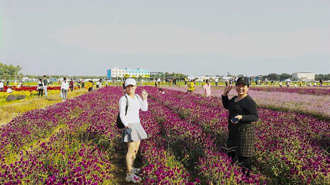 江东花海，美女打卡