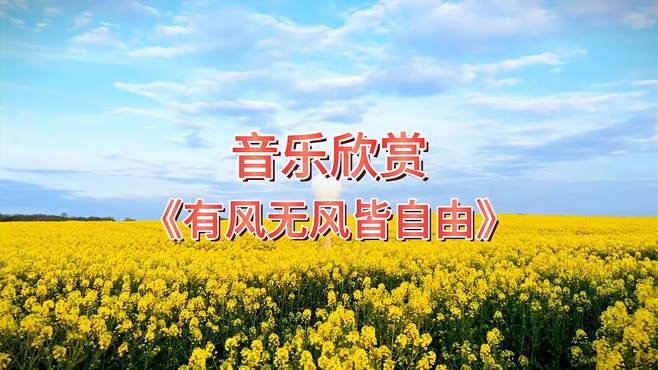 热门音乐《有风无风皆自由》流行歌曲推荐欣赏，百听不厌