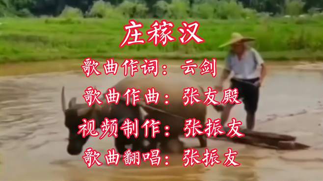 雨天一身水晴天一身汗，一首《庄稼汉》唱出了农民兄弟的真实写照