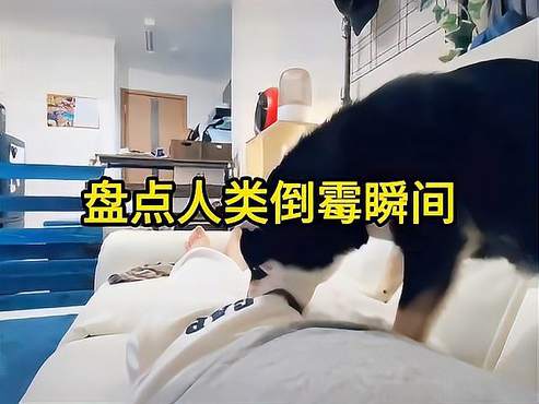 猝不及防的倒霉瞬间，今天的功德又笑没了