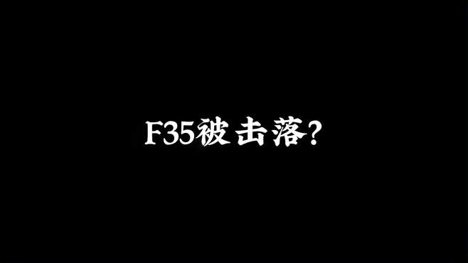 兔子：鹰酱你这次坠毁的飞机是F35吗？