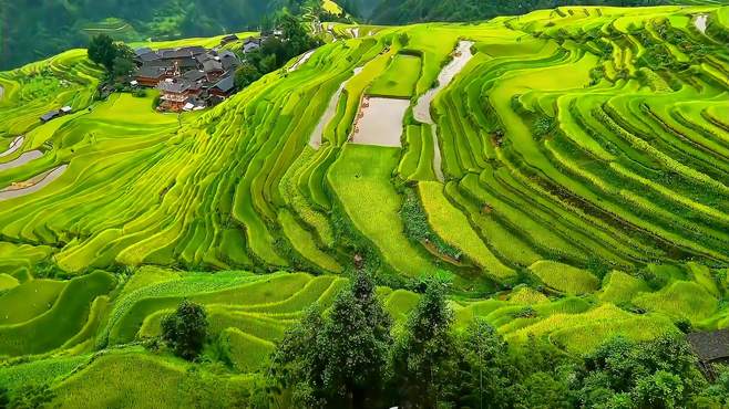 冒雨拍的加榜梯田?。除了看风景，我还能干啥？