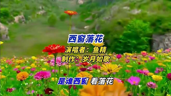 鱼精一首《西窗落花》完整版