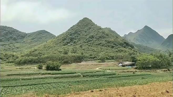 野外风景真实拍摄