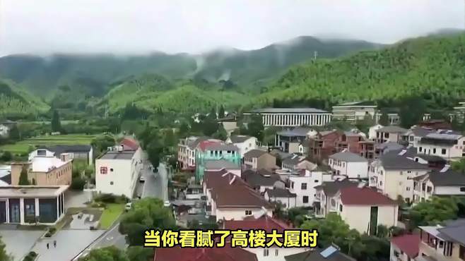 安吉余村｜没有天花板的地方尽是绿意与自由️