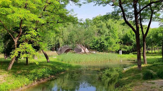 河北区华北公园夏季休闲好去处有哪些亮点