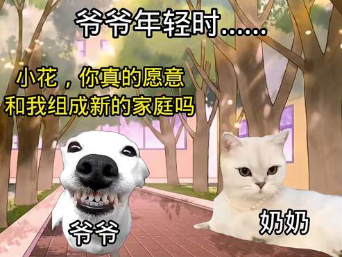 「猫meme」虚假的兄弟情谊