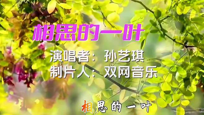 孙艺琪《相思的一叶》双网音乐非常好听的歌曲