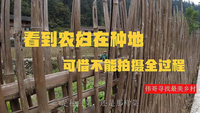 带您走进神秘侗寨，欣赏美丽自然风景，黔东南州剑河篇岑广寨