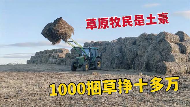 内蒙牧民丰收节是土豪！一人家卖1000捆草，光草收益就高达十多万