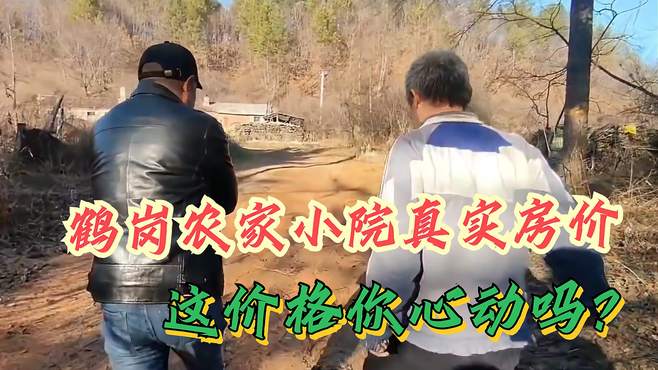 鹤岗市的1万平林场农家院，真相让你意想不到，听卖房者怎么说