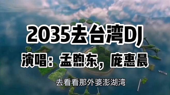 热播中文DJ舞曲《2035去台湾》节奏感十足太好听了