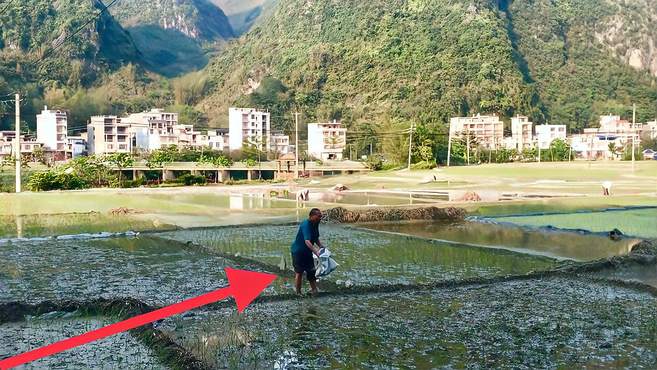 路过广西巴马长寿乡，镜头记录当地人的耕种，大家看看怎样？