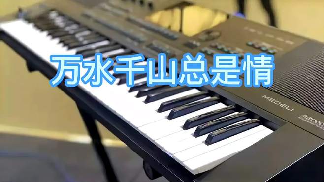 电子琴演奏《万水千山总是情》DJ版