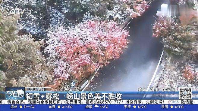 初雪+雾凇！青岛崂山风景区现奇观，一夜变身“童话世界”