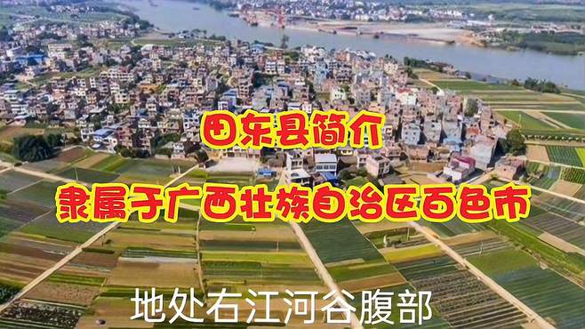 田东县简介，隶属于广西壮族自治区百色市