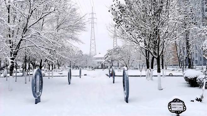 瑞雪压枝头（延吉暴雪）