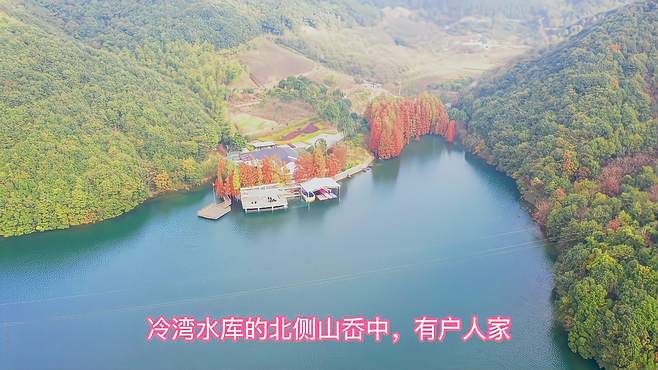 绍兴冷湾水库，红杉绚烂，豪门人家，独享风景