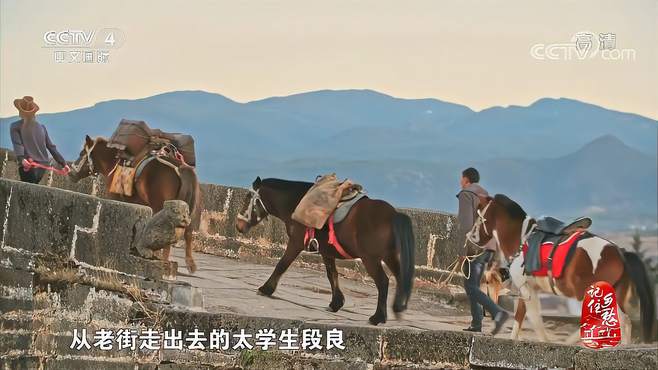 万历皇帝的太师段良辞官回乡守护盐运古道的故事，感人｜记住乡愁