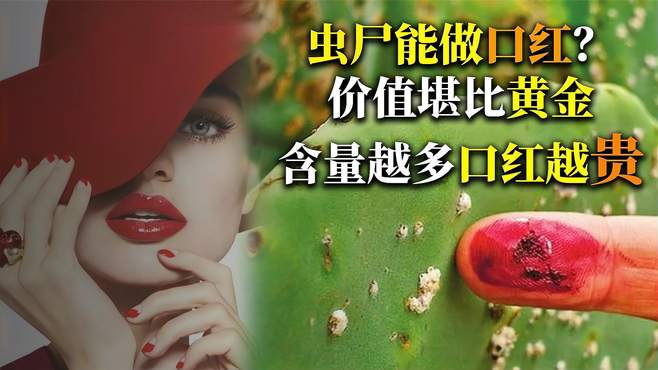 口红是用“虫尸”制成的？越贵虫子越多，它为啥价格堪比黄金？