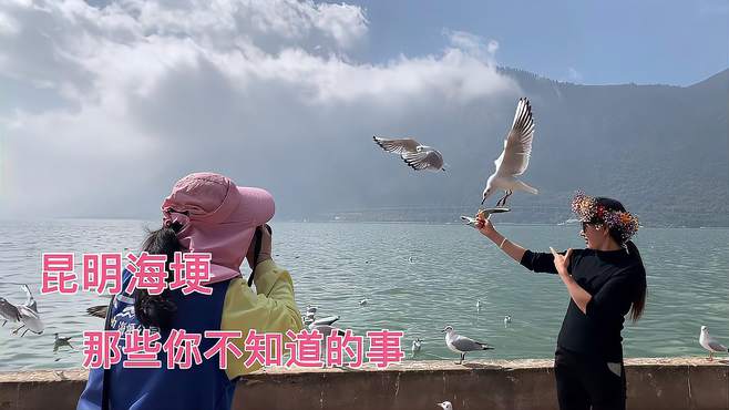 昆明海埂公园，来云南旅游不得不来的旅游宝地，免费的哦！