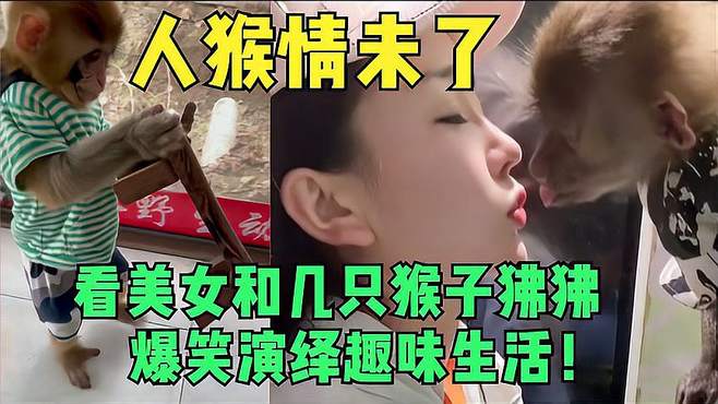 人猴情未了，美女和猴斗智斗勇，看猴子怎么怎么恶整美女姐姐！