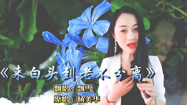 经典民谣《白头到老不分离》男女反串的嗓音，听醉多少相爱的人