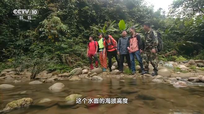 本来平缓的水流突然变湍急，专家考察后给出解释，来看｜地理中国