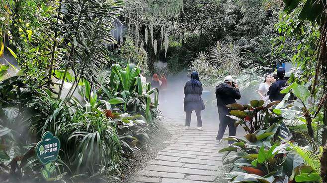 厦门园林植物园，全国唯一一个建在市中心的植物园，里面犹如仙境