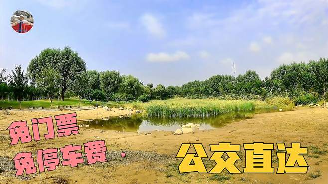 北京免门票免停车费公园，成片的鲜花渐浓的秋景，拍照打卡好地方