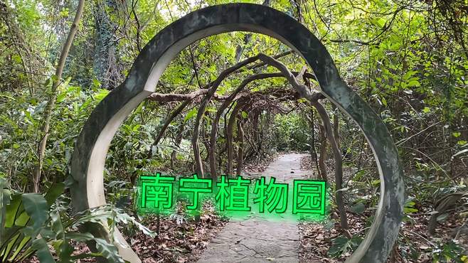 南宁药用植物园外省人免费，植物种类太多了，原来板蓝根长这样