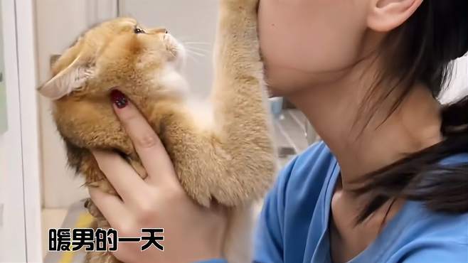 猫猫也是个大暖男啊