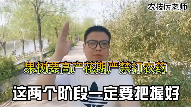 果树要高产，花期严禁打农药，这两个阶段一定要把握好