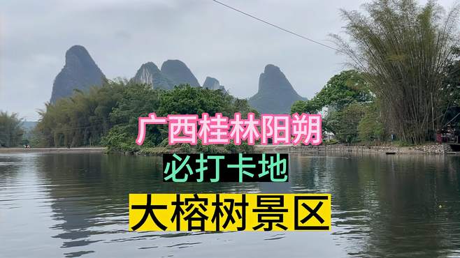 广西桂林大榕树景区，实景体验电影刘三姐定情地