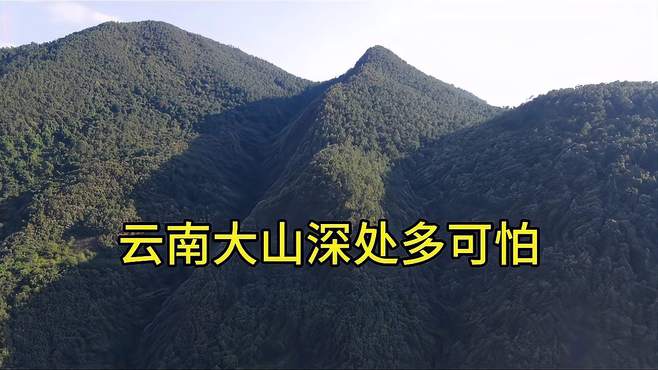 云南大山多可怕，山高林密，女大学生要是进入，很难被找到了