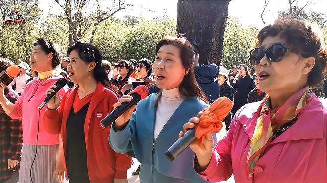 宝鸡市欢乐玉兰歌友会活动剪辑之十一《芦花》