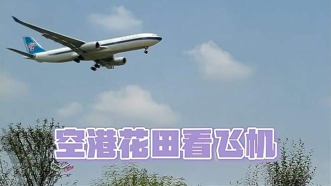 成都空港花田看飞机 双流机场欣赏飞机降落的公园之一网红打卡地