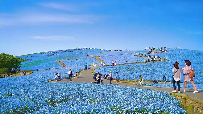 春光明媚，风景秀丽