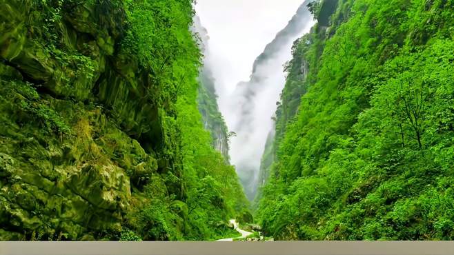 白熊沟一四川乐山金口河大峡谷著名景观