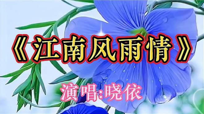 《江南风雨情》晓依演唱一首DJ情歌，旋律优美深情入心，很好听