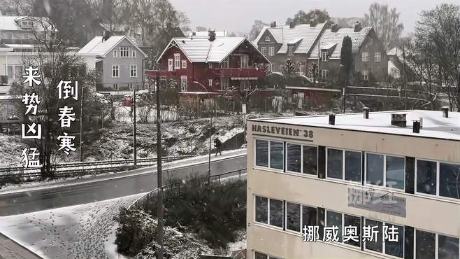 挪威春天雪花满天飞