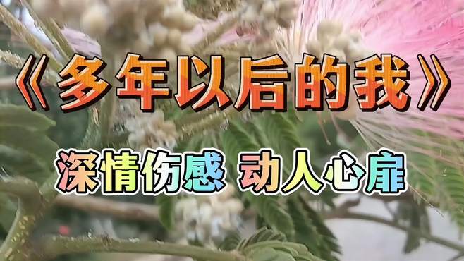 热播新歌《多年以后的我》好听感人，荷花盛开赏花听歌