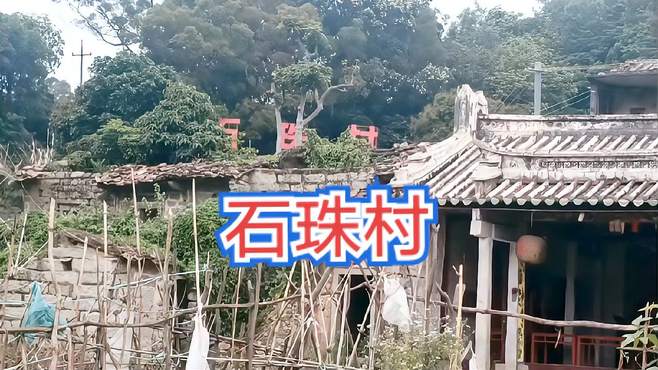 石珠村，位于普宁市东南部山旮旯里，从没听说过，但石屋保存完好